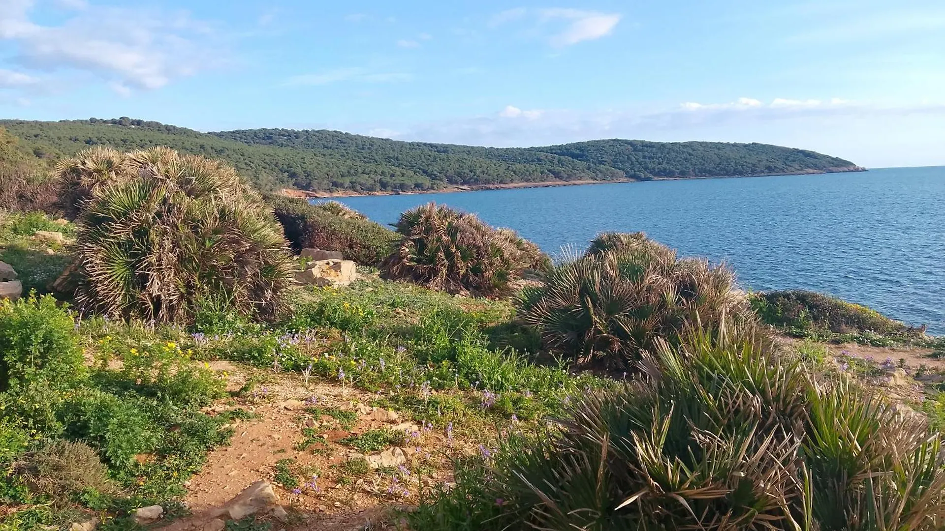Casa Mari, A Due Passi Dal Mare Appartement Alghero